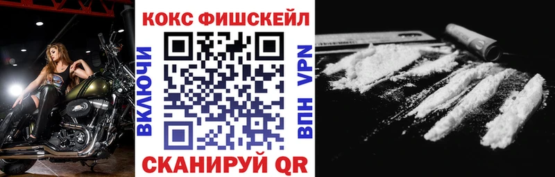 Купить где  Осинники  COCAIN Fish Scale 