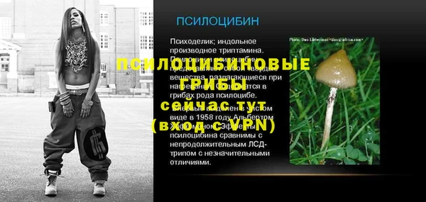 дмт Костерёво