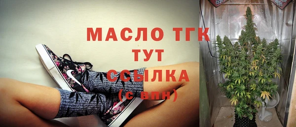 дмт Костерёво